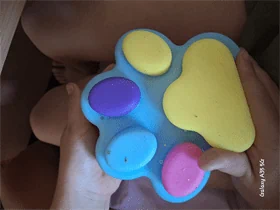 סקוושי צבעוני ענק