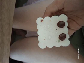 סנדוויצ'ים ורודים