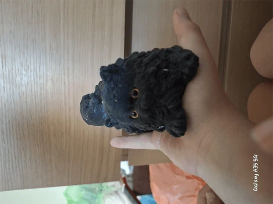 חתול שחור דביק