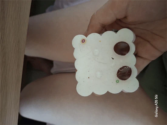 סנדוויצ'ים ורודים